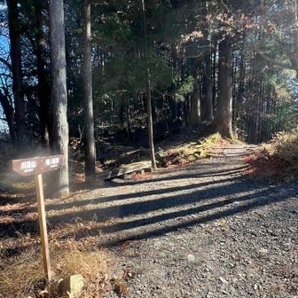 この辺りは休憩するのに良さそうです