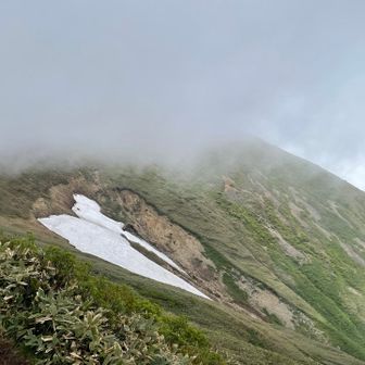 雪渓あり