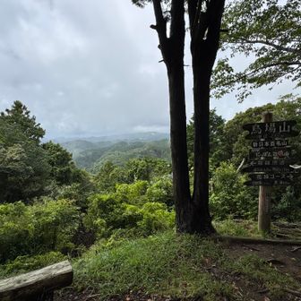 烏場山 海抜266m

にっぽん百低山でも紹介され、新日本百名山にもなっているよう。