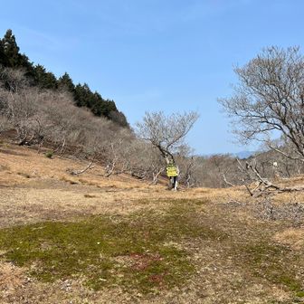 お、開けた。10番。雲取峠。
