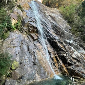蒼滝見に下ります
そしてまた登ります