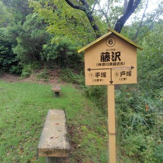 まだ藤沢だ