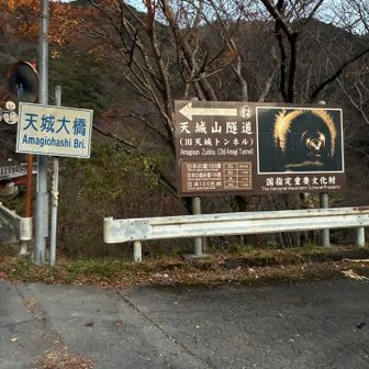 天城隧道🤩
水生地下から修善寺行きのバスで帰りましたが、途中には浄蓮の滝バス停もあります！
リアル天城越え最高に楽しかったです✨✨