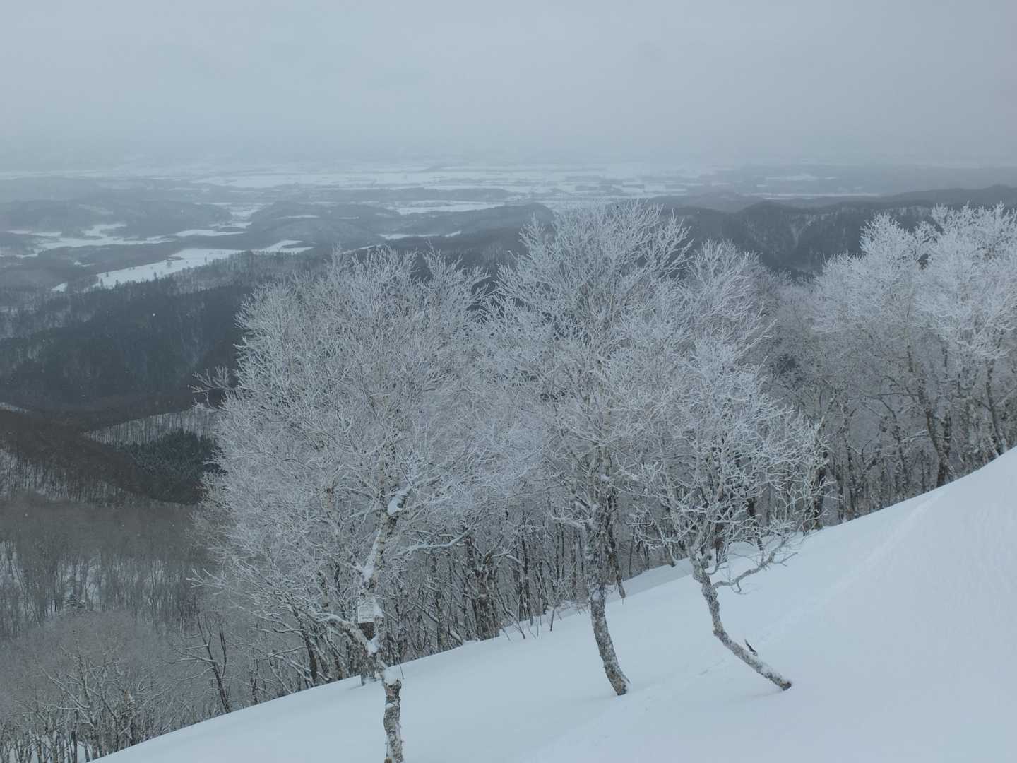 仁頃山 往復コースの写真