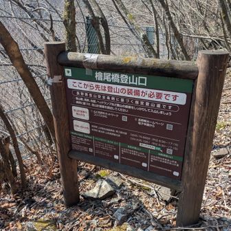 檜尾橋登山口に無事ゲザーン🙌