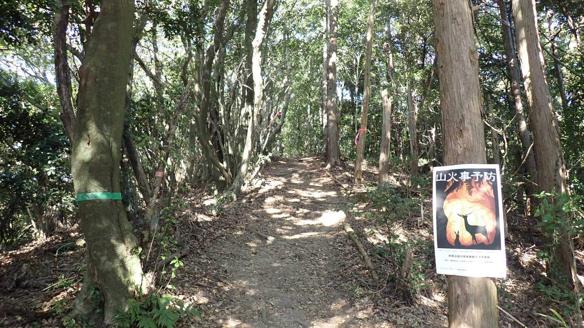 テレビ局基地局辺りから本格的な登山道に