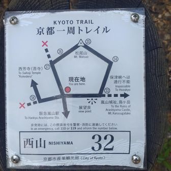 頂上行くのにグルっと回る