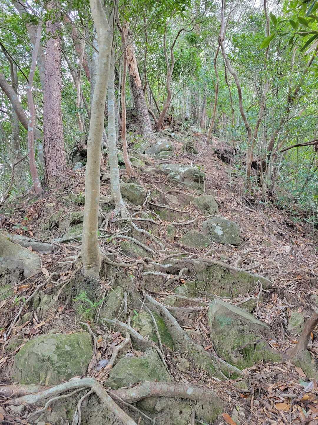 急登です