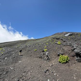 宝永山への分岐
ここまで1400弱⤴︎しか登っていないのでもう少し頑張ります