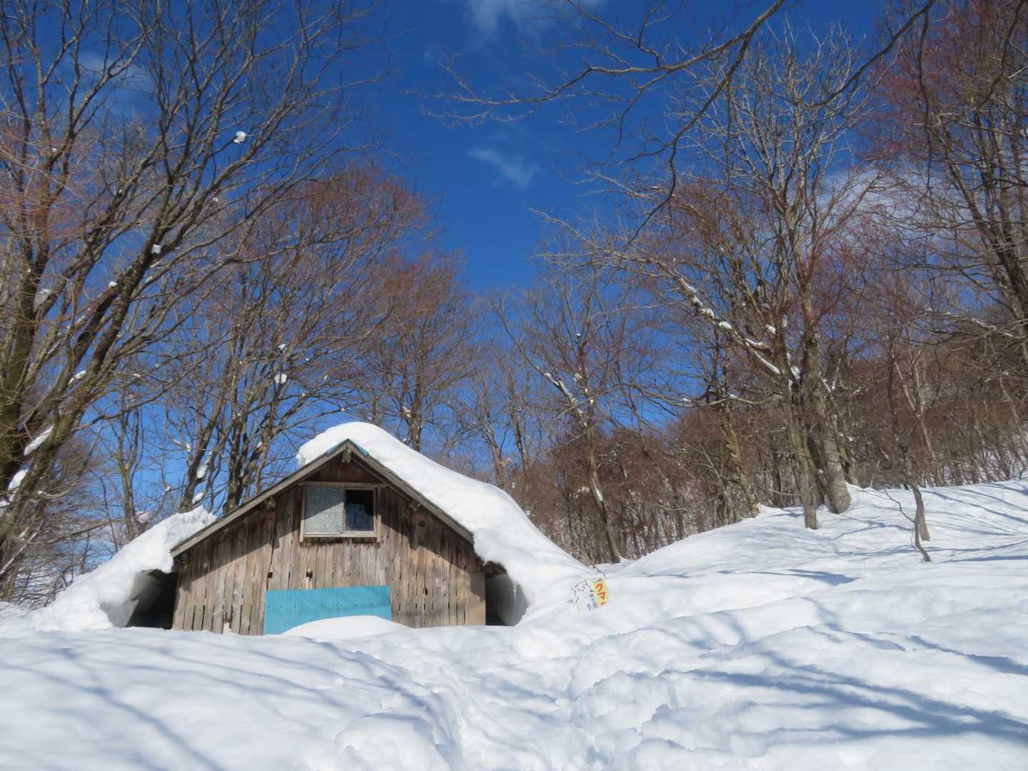 小屋到着。kinacoちゃんのチェンスパはこの先？