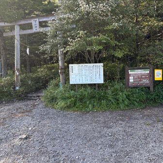 無事戻りました。