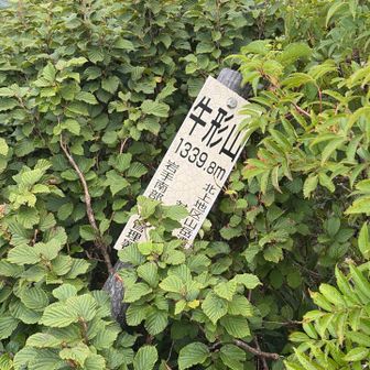 山頂到着