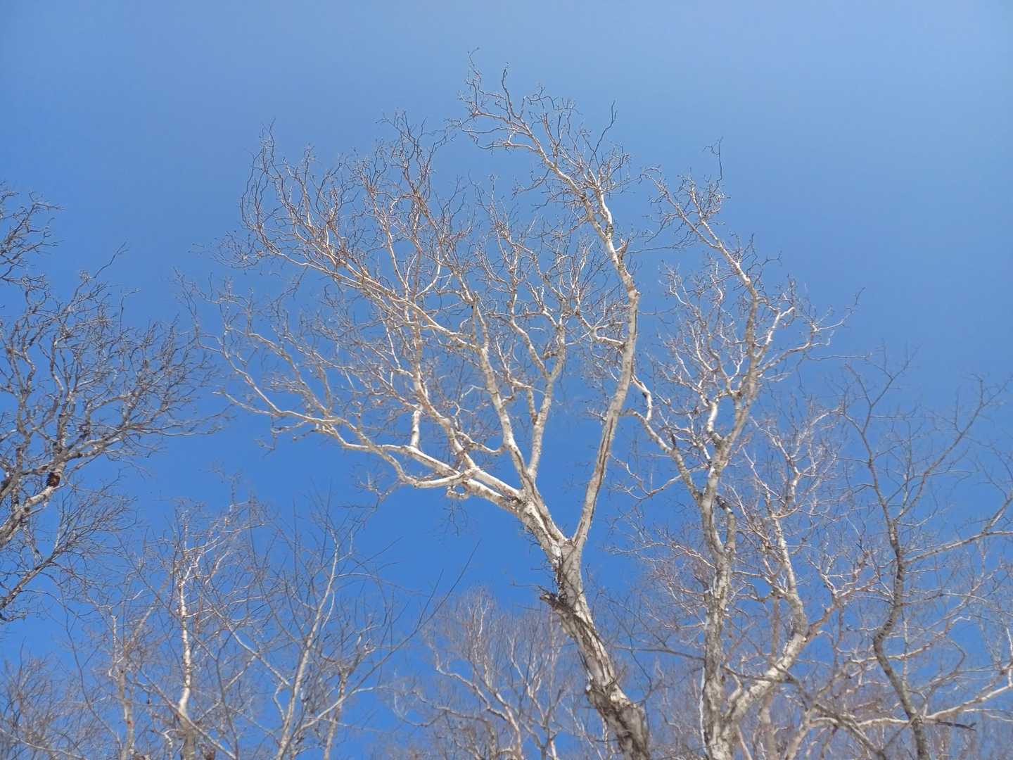 青空🟦