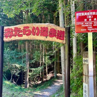 川沿いの林道でとっても気持ちの良い道でした🤗ただ距離はなかなかのものでした。