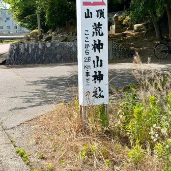 ここから林道へ
