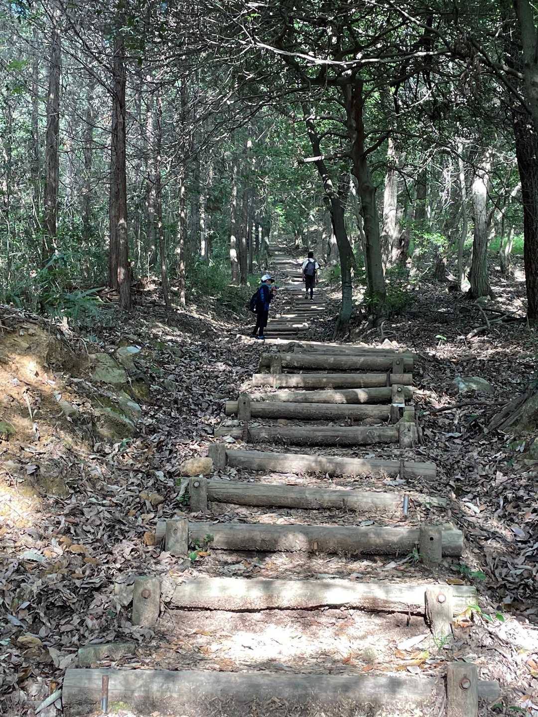 福山 往復コースの写真