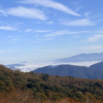 階段の途中から見える運動