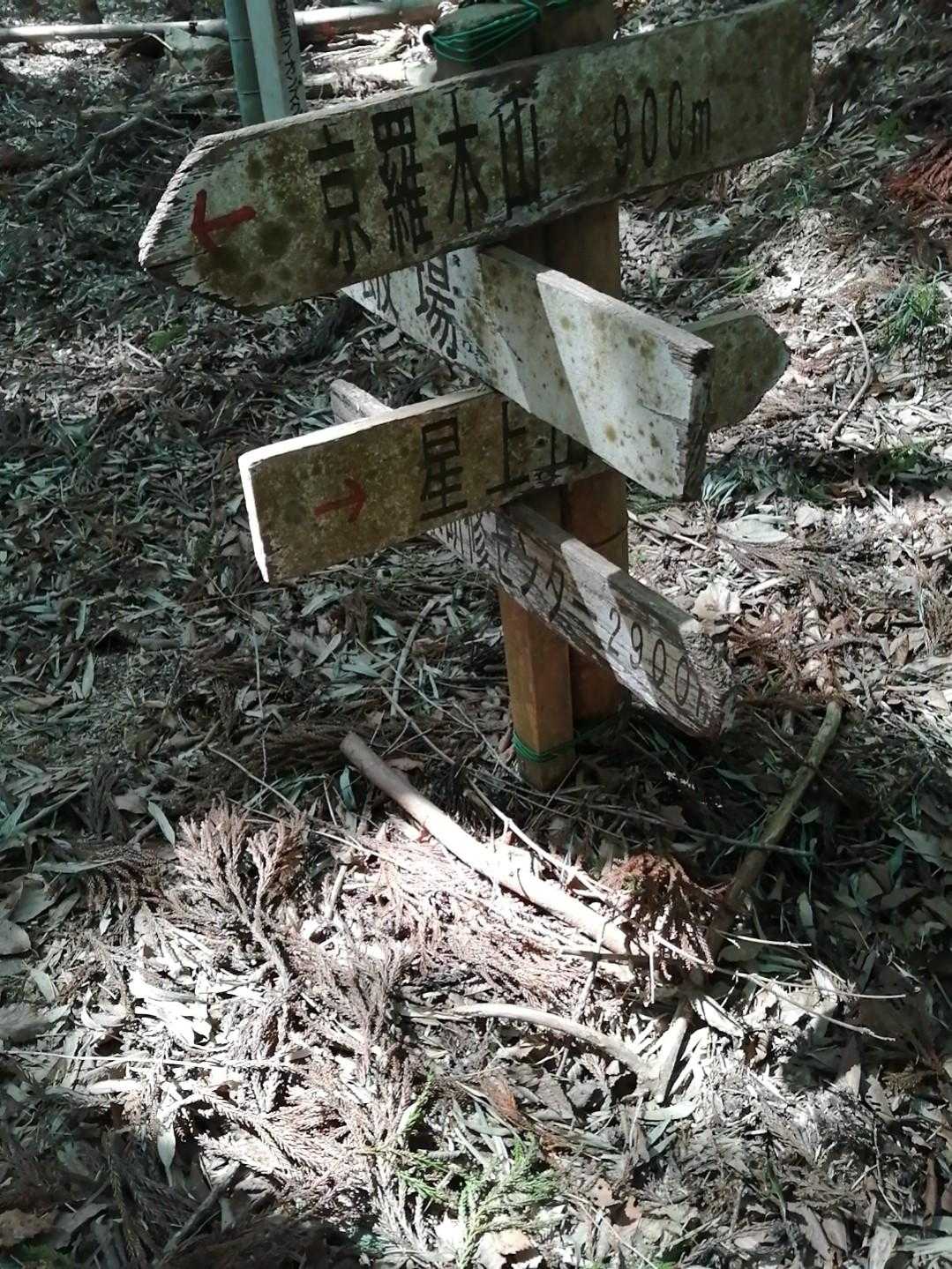 この形の案内板よく見るけど、なんだか楽しい気分にさせてくれる😊