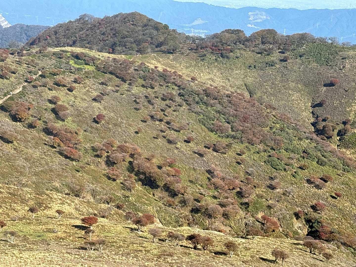 表道登山道 コースの写真