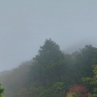 ガスで視界は真っ白