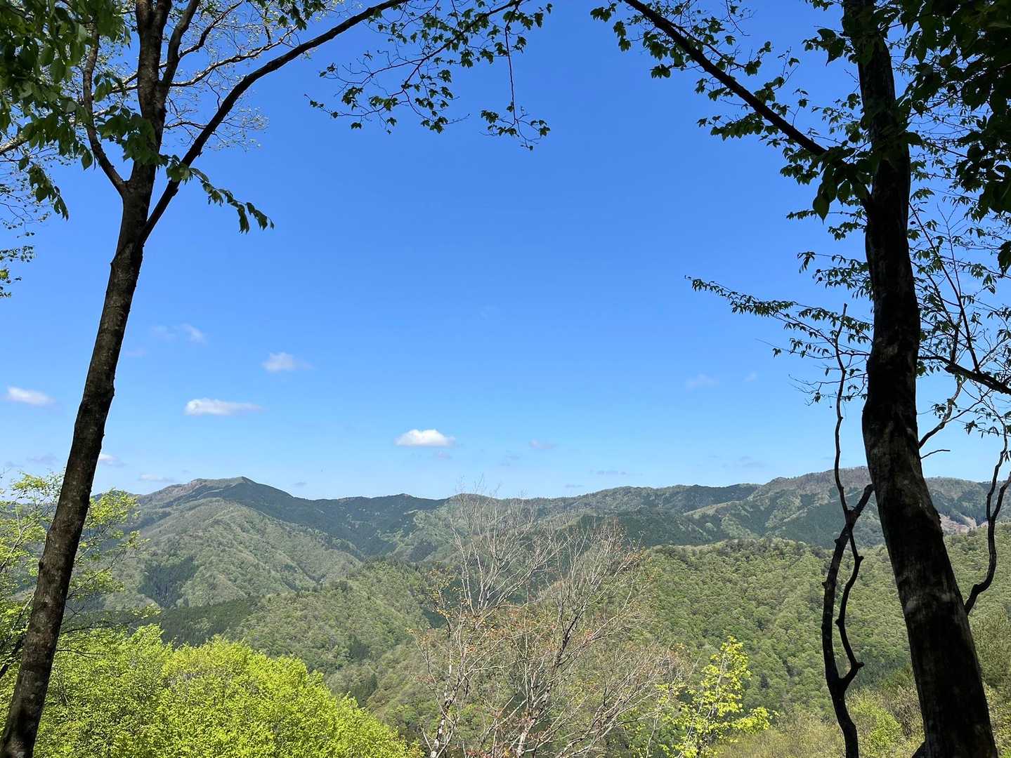 つい🤳撮ってしまう景色