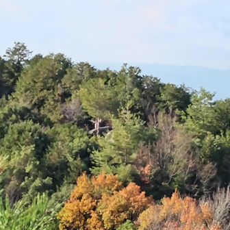 真ん中に小さく手を振るれおさん🤣
登山口からずっとザレザレ。
旗振山から先はさらに落ち葉に隠れて危なかったので、絶景の旗振山頂で待っててもらいました。
