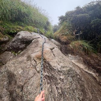 岩濡れてるし雨じゃんじゃん降るが私は行く

線になって写る雨粒がお分かりでしょうか