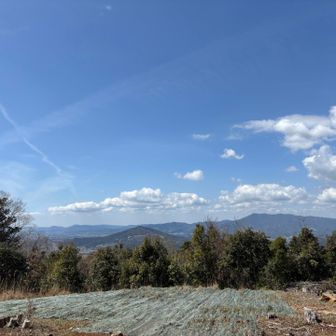 眺望地になってる〜鉄塔だったよね