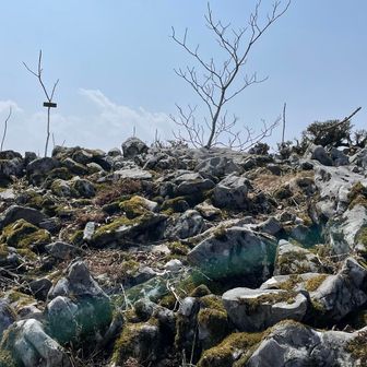 倉骨山まではすぐ
山頂はこんな感じで岩がゴロゴロ