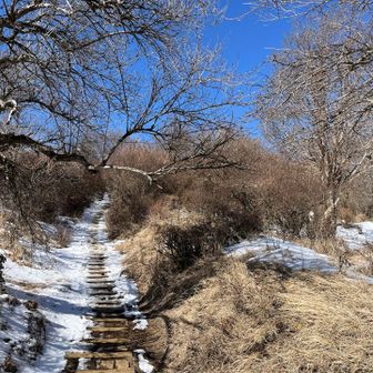 塔ノ岳に近くなると、残雪現る。