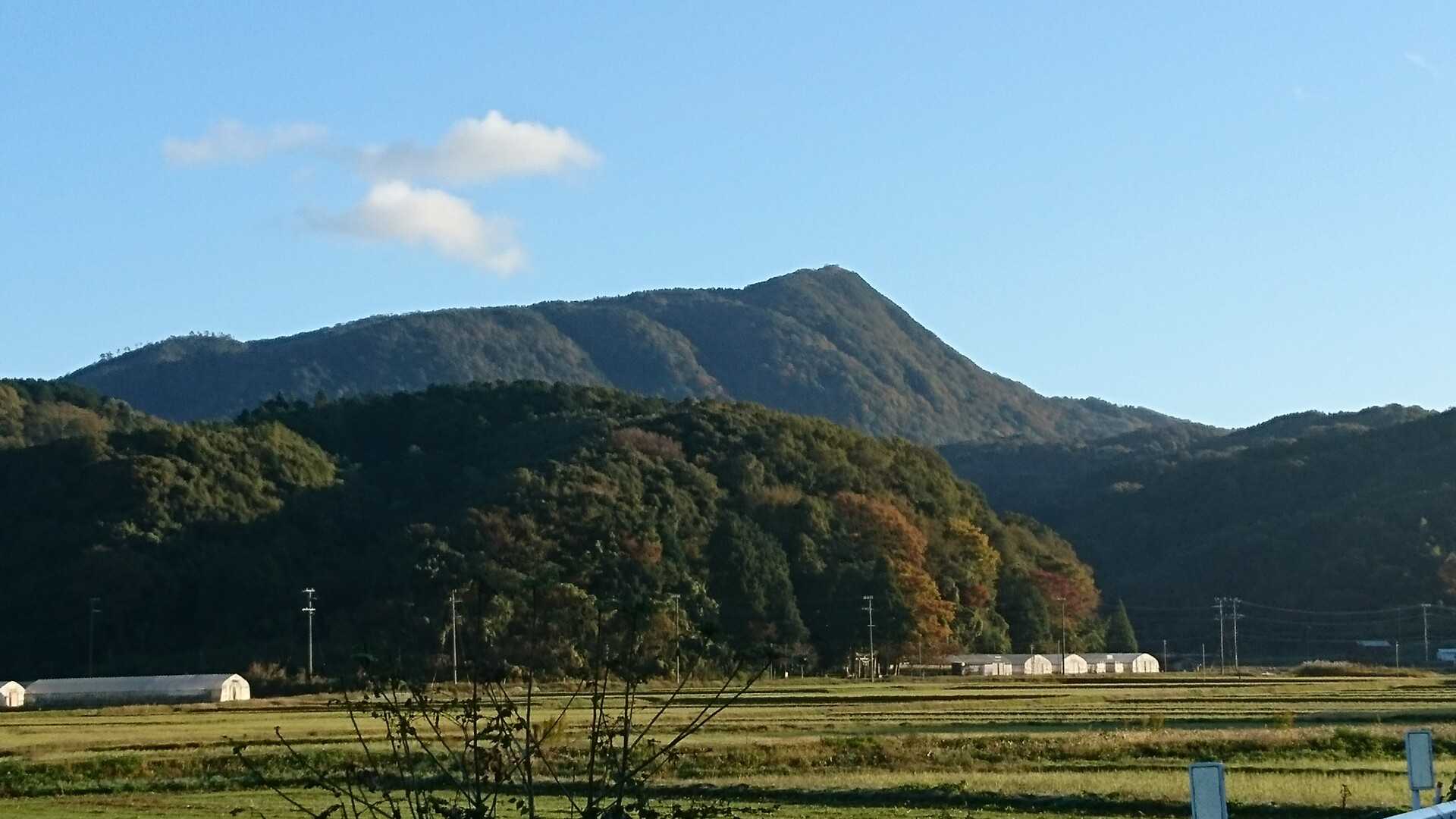 依遅ヶ尾山の写真