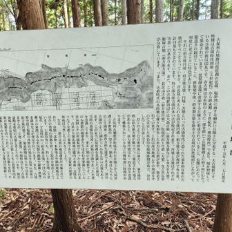 この縦走路に沿って古墳群があります。古墳のふもとをずっと歩く感じです。