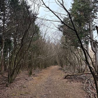 山頂へ向かう尾根道はいっそう気持ち良い