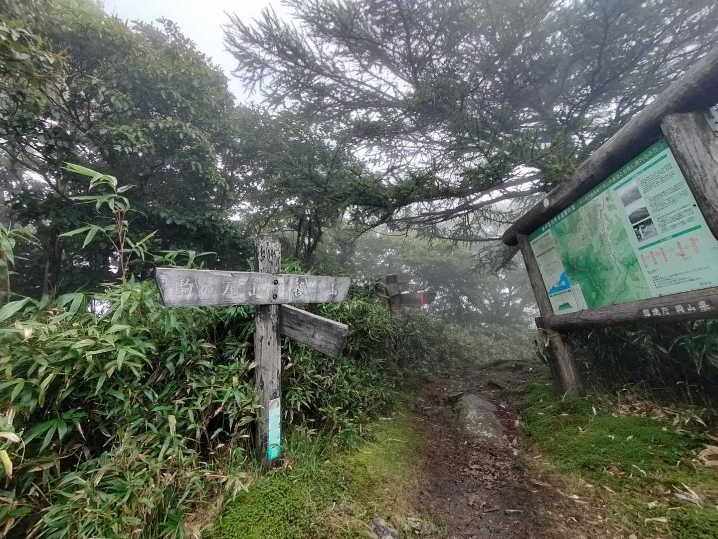 4月に歩いた稜線にようやく到着😆あとは船木山と後山のピーク獲りにいきます👉