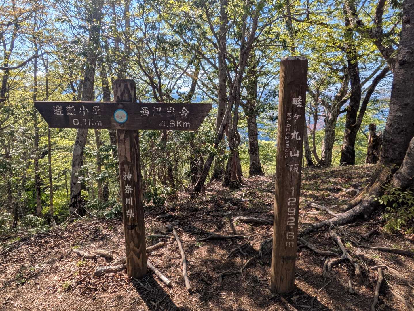 少し歩くと畦ヶ丸山頂
滝も見たいので先を急ぎます