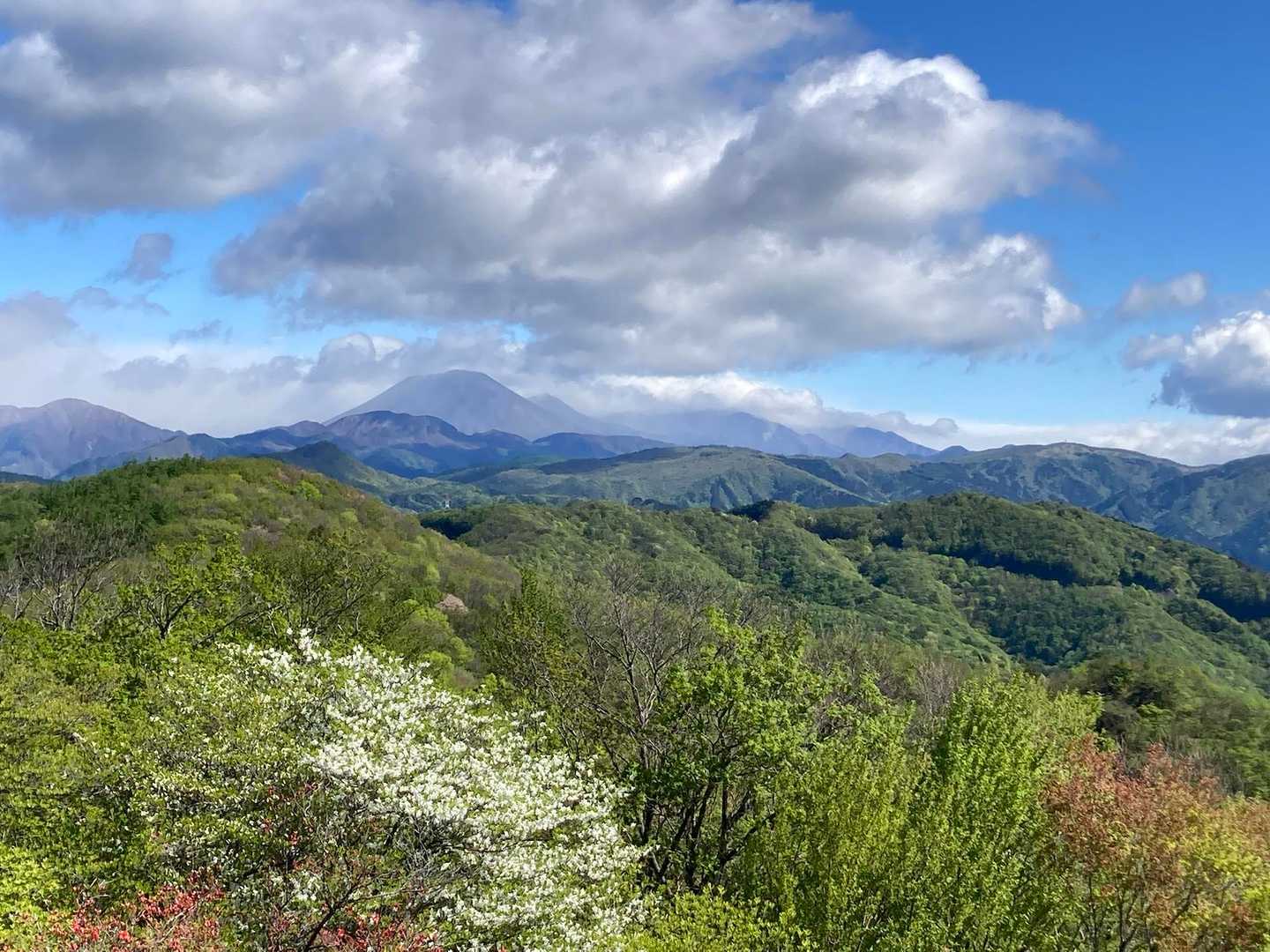 展望台からの風景
シロヤシオと男体山