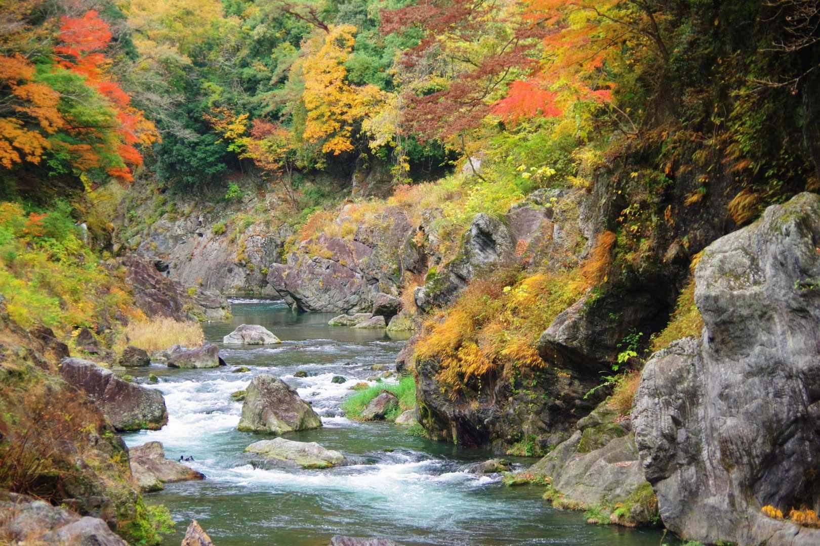 渓流と紅葉の組み合わせは良いね