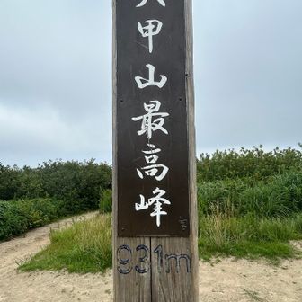 今日は、誰も居ません
ガスっていて、眺望もなし
下りましょう