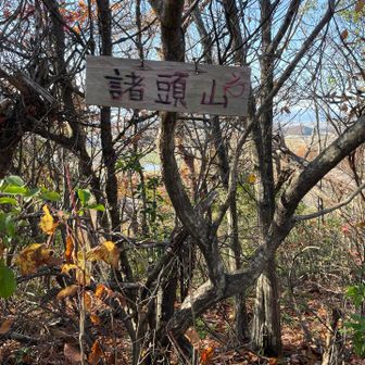 急登をソロリソロリと降りてきて「諸頭山」🙌

この尾根の先にグレピ「舟崎山」があるが、藪がひどくて道がよく分からず断念😢
下の神社から登れるようですが、ぱっと見の藪で諦めた😱