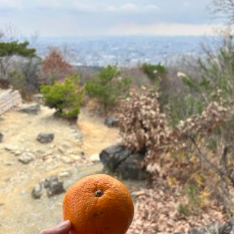 東屋でみかん🍊休憩