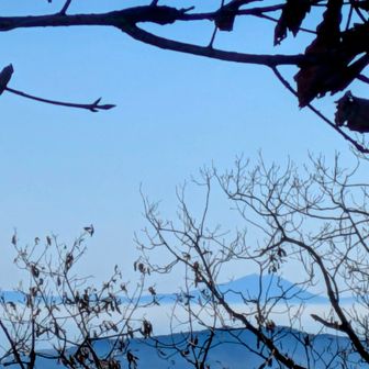マンマ・ミーア (Mamma mia)
枝が意地悪します💦
雲海に浮かぶ筑波山ᨒ𖡼.𖤣𖥧
筑波山から元気もらって次の山目指します٩(ˊᗜˋ*)و