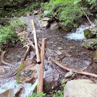 大門沢へ降るルート、中々激しい🥵