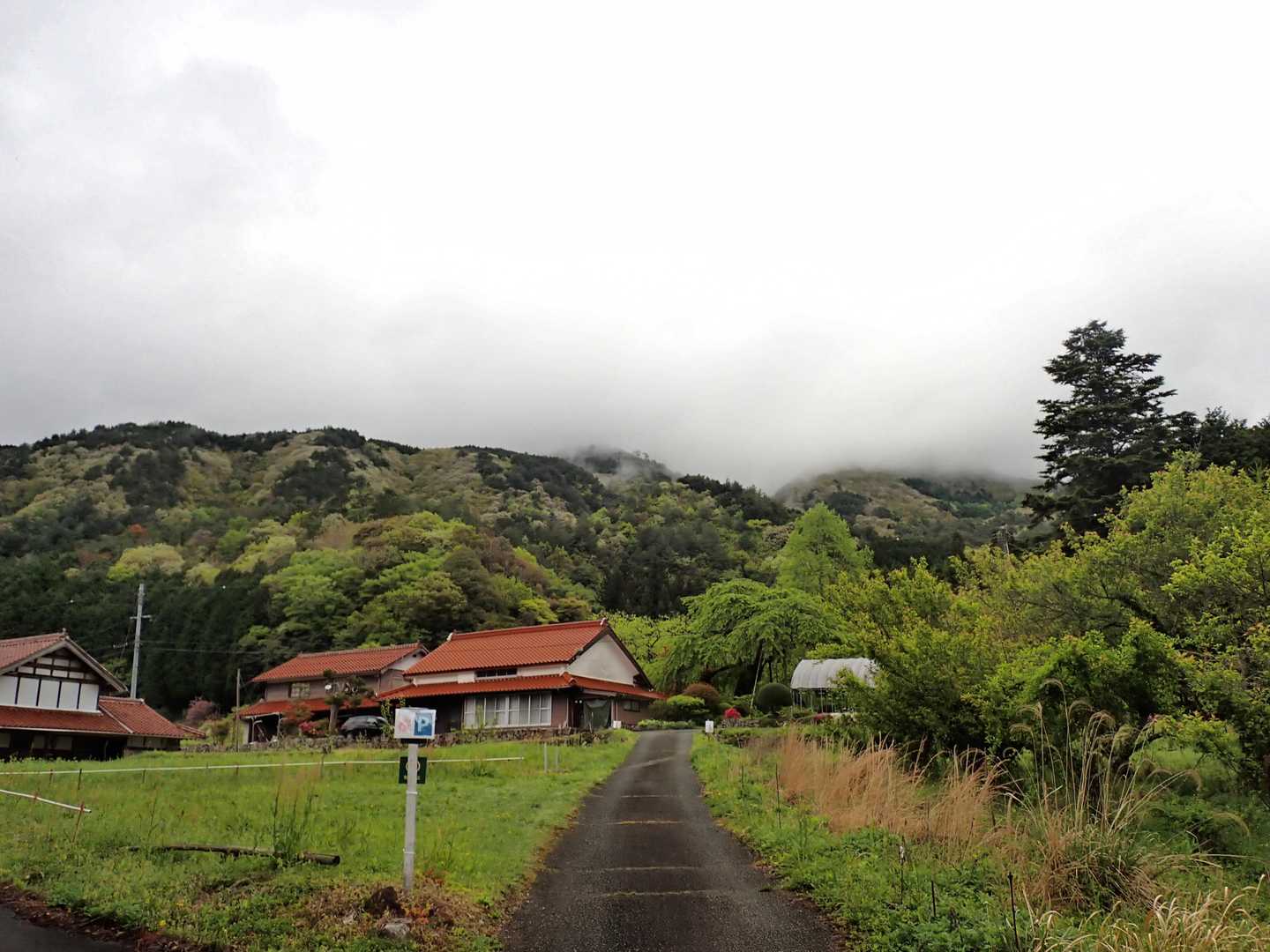 駐車場から。山頂はガスの中です。