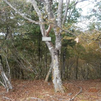 手づくり看板のみ