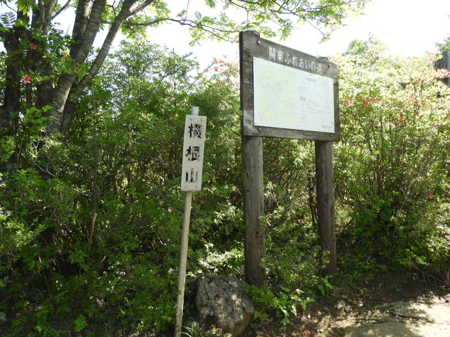 山頂