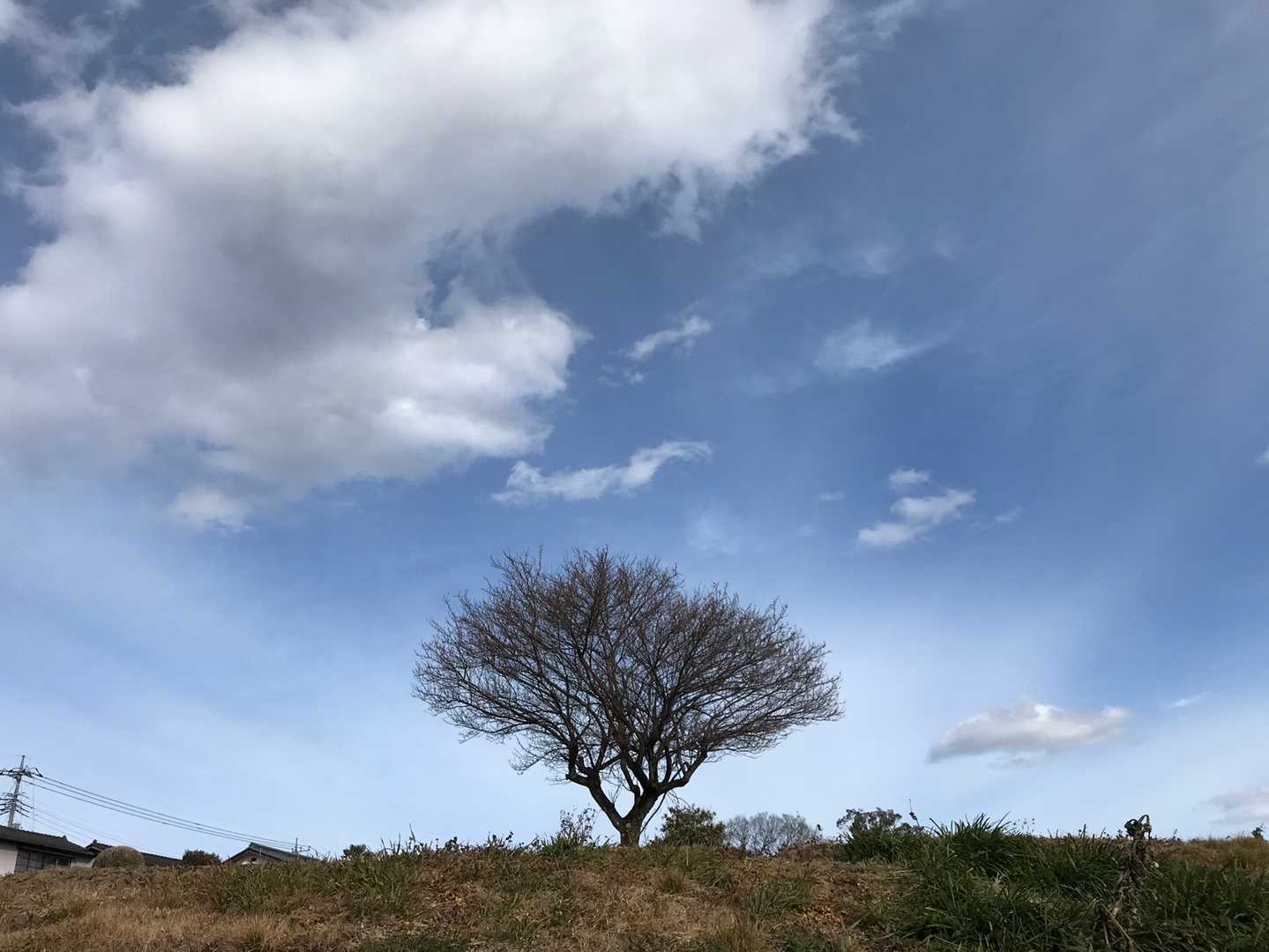神成山ハイキングコース入口-神成山 往復コースの写真