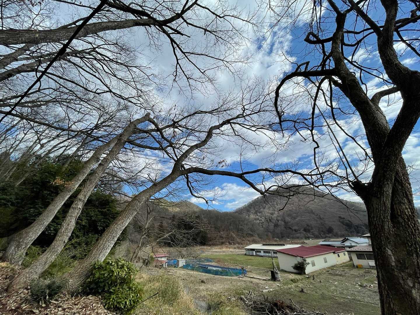 小菰石山-大岡山 往復コースの写真