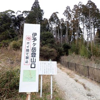 ここから始まり。