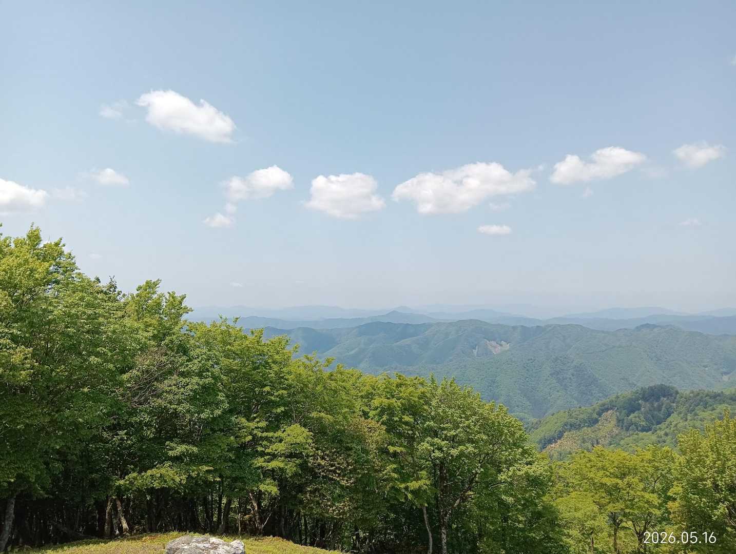 これは来て良かった‼️