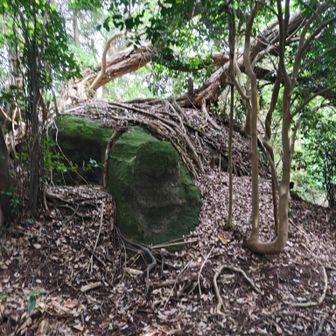 大亀岩、正面